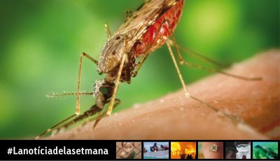 La importància de combatre la malària